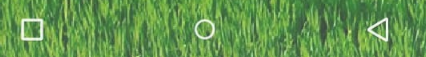 mceclip0.png